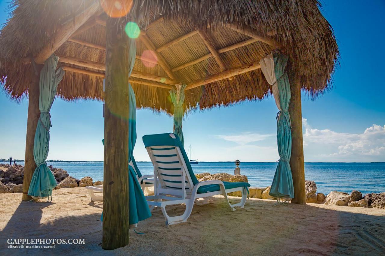 Amoray Dive Resort 基拉戈 外观 照片